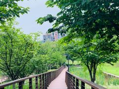 -沐仙湖湿地公园