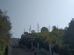 -铁山坪森林公园