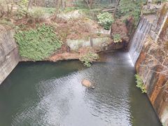 -千岛湖东南湖区