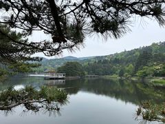 -庐山风景区花径公园