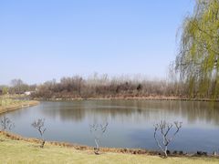 -塘沽森林公园