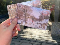 -井塘古村