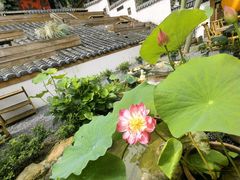 -伴山茶苑·一盏冰茶·半日山居
