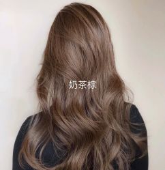 -YESIDO椰岛造型
