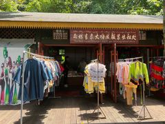 -西双版纳原始森林公园