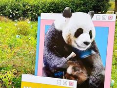 -栾川竹海野生动物园