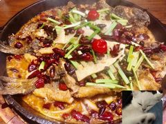 -老板恋上鱼(振华商厦店)