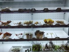 自助取餐区-搓火大都会(广安门总店)