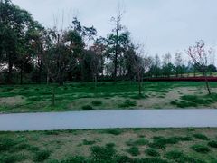 -两河城市森林公园