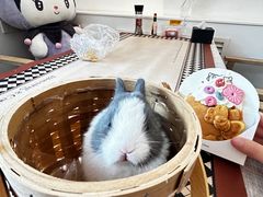 -大象厨房(重庆道店)