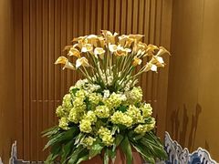 -大连金石滩绿发温泉假日酒店