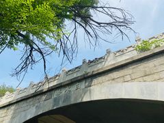 -白水寺森林公园
