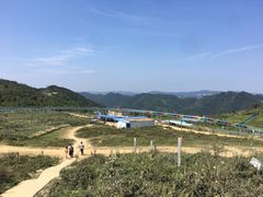 -齐岳山