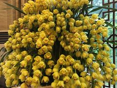 -潮喜竹溪荔湖酒家(荔枝湾店)