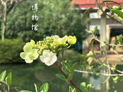 -中国茶叶博物馆(双峰馆区)