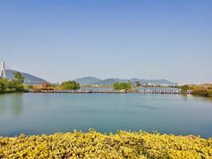 -芒洲湿地公园