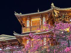 -越秀西湖花市(广州城市广场花卉店)