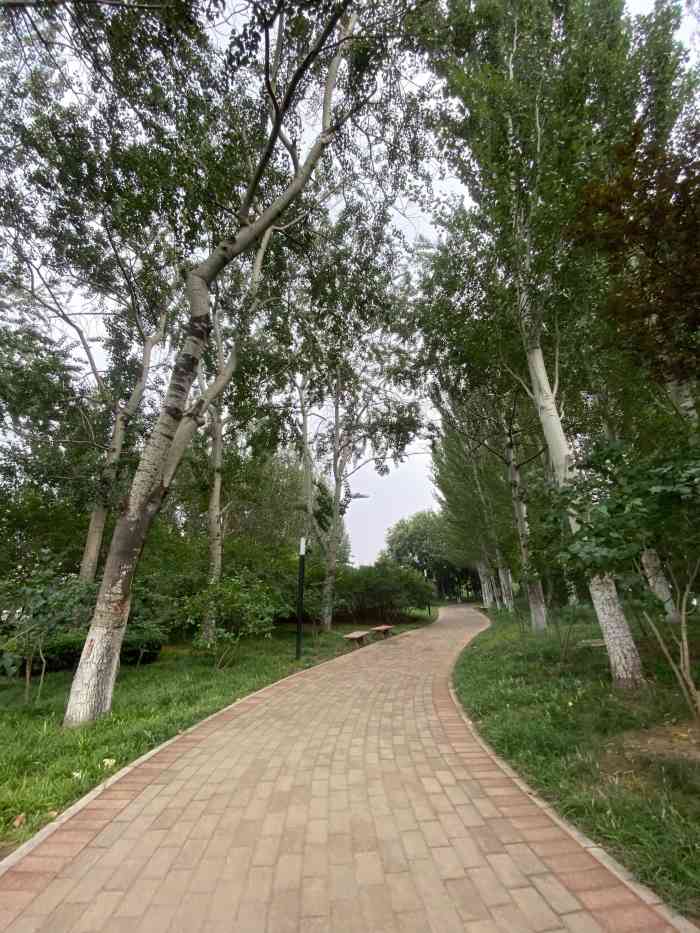 五棵松奥林匹克文化公园