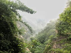 -洛阳白云山景区