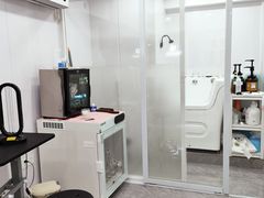 -爱洗澡的猫(天河路店)