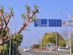 -东山风景区(洞庭东山)