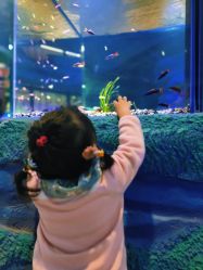 -酷嗒动物文化乐园(cutezoo西溪乐天城店)