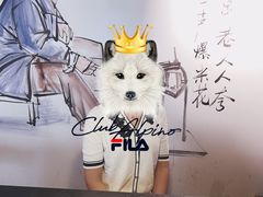 -三里屯土灶台(盐城总店)