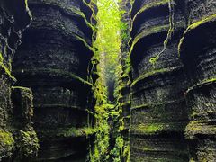 -梭布垭石林景区