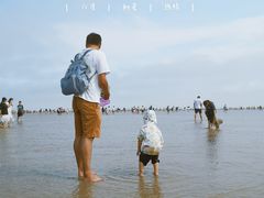 -奉贤海滩