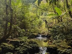-海南热带雨林国家公园吊罗山景区