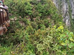 -重庆云阳龙缸景区