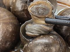 田螺鸭脚煲-小螺大作·螺蛳粉火锅(林和西店)