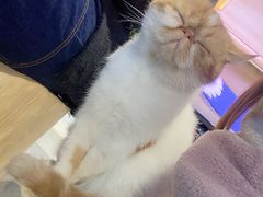 -极木²邸 人与宠物·互动社区