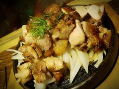 -通海俄式烧烤(下瓦房店)