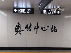 -奥体中心(地铁站)