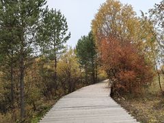 -北极村旅游风景区