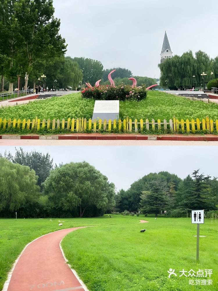 回龙观回龙园宝妈力荐的小众遛娃公园