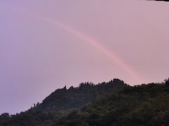 -武陵山森林公园
