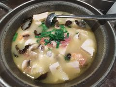 浓汤老豆腐-青年公社烤鸭(蜀山万象汇店)
