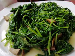 香干马兰头-枫溪人家(枫泾古镇店)
