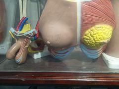 -山东嘉汇文化用品有限公司张店凤凰国际分公司(新村西路店)