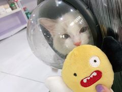 -北京恒爱动物医院(清景园分院)