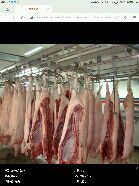 白条冷却排酸-金锣冷鲜肉胜保水产(希望东路店)