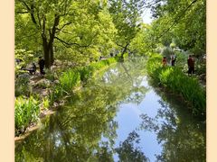 -上海共青森林公园