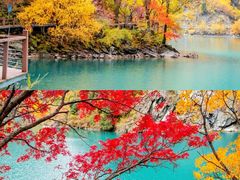 -叠溪松坪沟景区