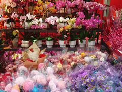 -越秀西湖花市(广州城市广场花卉店)