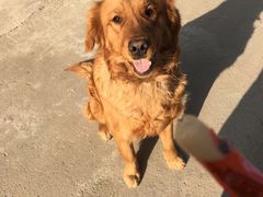 -过锅瘾三汁焖锅(东星时代广场店)