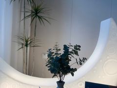 -鲸落SPA(番禺长隆店)