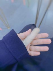 -Moni星球萌宠·小马宝莉·灵蛇·高端高阶全萌宠互动体验俱乐部(红豆国际广场店)