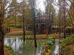-柳鹭田园区